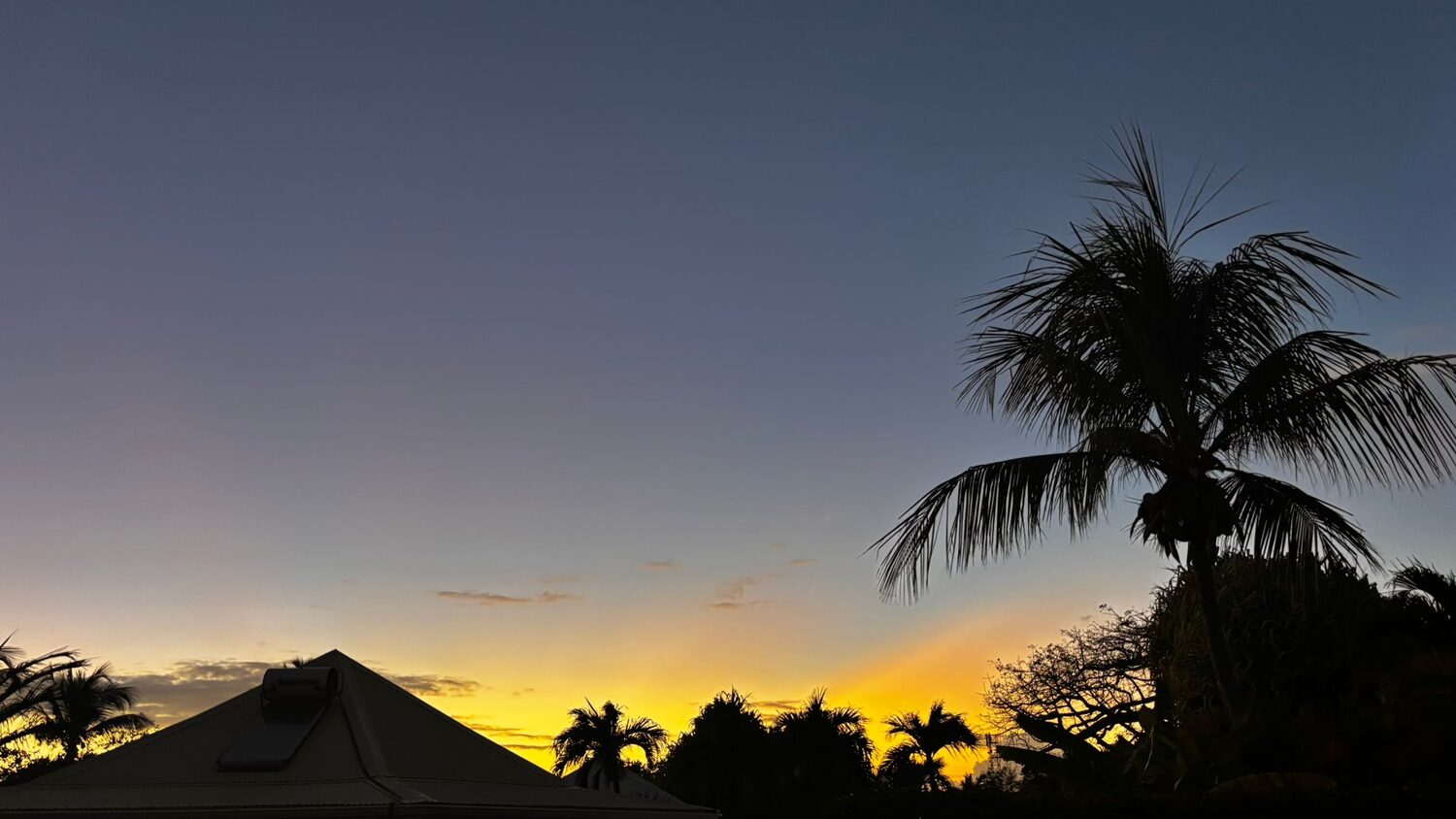Coucher de soleil sur les cocotiers à Saint-François